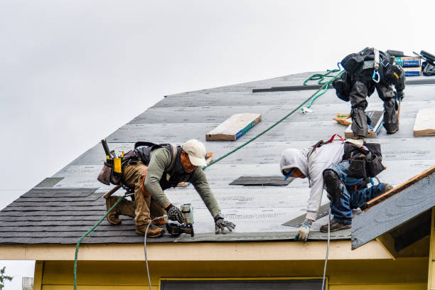Professional Roofing technician working in Woodbine, IA